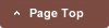 page_top